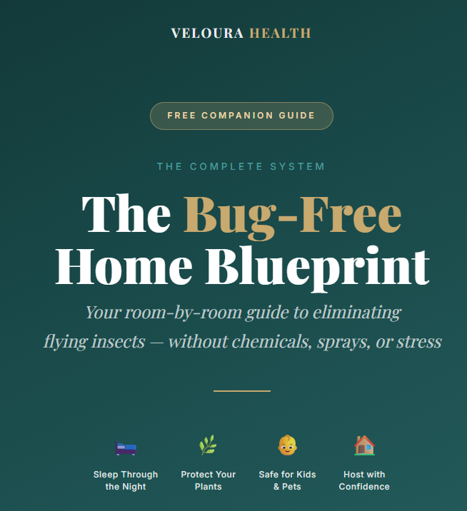 Plano de Veloura: Hogar sin Bichos
